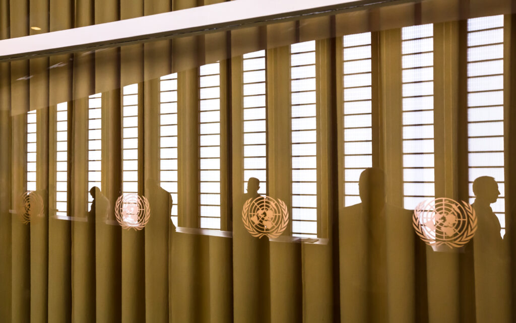 United Nations General Assembly in New York